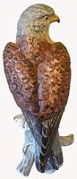 A Porcelain Falcon Eagle Hawk by Goebel of Germany (7 of 7) A Porcelain Falcon Eagle Hawk by Goebel of Germany (7 of 7)