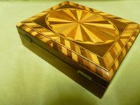 Specimen Wood Trinket Box. C1880 (8 of 12) Specimen Wood Trinket Box. C1880 (8 of 12)