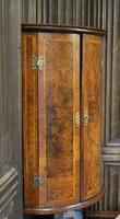 Antique Burr Walnut Corner Cupboard (4 of 9) Antique Burr Walnut Corner Cupboard (4 of 9)