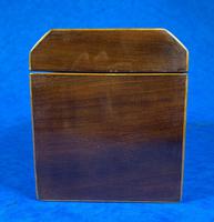 Georgian Mahogany Shell Inlaid Single Tea Caddy (5 of 15) Georgian Mahogany Shell Inlaid Single Tea Caddy (5 of 15)