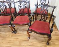 Set of Eight Oversized Dining Chairs (15 of 18) Set of Eight Oversized Dining Chairs (15 of 18)