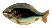 Large Victorian English Majolica Fish Serving Platter c.1875 (2 of 8) Large Victorian English Majolica Fish Serving Platter c.1875 (2 of 8)