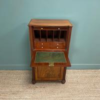 Regency Mahogany Antique Estate Cupboard with Fitted Interior (8 of 8) Regency Mahogany Antique Estate Cupboard with Fitted Interior (8 of 8)