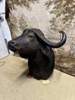 Item Additional Image