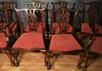 Quality Set of Eight Chippendale Style Dining Chairs (8 of 15) Quality Set of Eight Chippendale Style Dining Chairs (8 of 15)