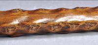 19th Century Horn Handled Walking Stick with White Metal Mounts & Collar (7 of 9) 19th Century Horn Handled Walking Stick with White Metal Mounts & Collar (7 of 9)