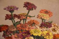 Oil Painting by John Ernest Foster “Summer Blooms” (5 of 7) Oil Painting by John Ernest Foster “Summer Blooms” (5 of 7)