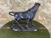 Bronze Sculpture of Bull Signed to the Base (5 of 5) Bronze Sculpture of Bull Signed to the Base (5 of 5)