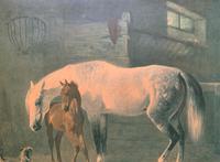 Aft: Emil Volkers Beautiful Vintage Framed Equestrian Print On Board (4 of 12) Aft: Emil Volkers Beautiful Vintage Framed Equestrian Print On Board (4 of 12)