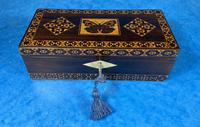 William IV Rosewood Glove Box with Superb Stickware & Tunbridge Ware Inlay (4 of 12) William IV Rosewood Glove Box with Superb Stickware & Tunbridge Ware Inlay (4 of 12)