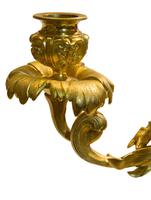 Pair of Gilt Metal Candelabra in Louis XV taste (5 of 6) Pair of Gilt Metal Candelabra in Louis XV taste (5 of 6)