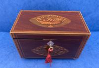 Georgian Mahogany Tea Caddy with Harewood Floral Panels (4 of 13) Georgian Mahogany Tea Caddy with Harewood Floral Panels (4 of 13)