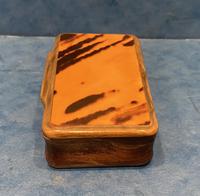 Victorian Horn & Tortoiseshell Snuff Box (5 of 13) Victorian Horn & Tortoiseshell Snuff Box (5 of 13)
