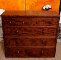 Cuban Mahogany Chest of Drawers 19th Century (8 of 14) Cuban Mahogany Chest of Drawers 19th Century (8 of 14)