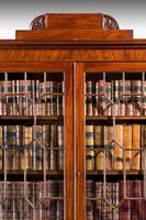 Regency Period Mahogany Two Door Bookcase (2 of 6) Regency Period Mahogany Two Door Bookcase (2 of 6)