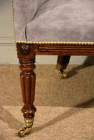 Regency Rosewood Tub Armchair Reupholstered (7 of 8) Regency Rosewood Tub Armchair Reupholstered (7 of 8)