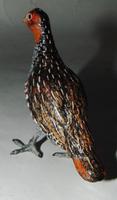 Austrian Cold Pained Bronze of Grouse (3 of 6) Austrian Cold Pained Bronze of Grouse (3 of 6)