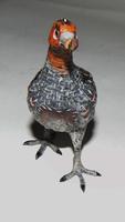 Austrian Cold Pained Bronze of Grouse (5 of 6) Austrian Cold Pained Bronze of Grouse (5 of 6)