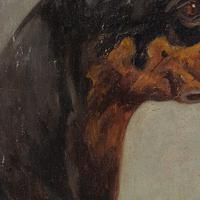 Wilhelm Westerop, Portrait of a Doberman, Oil Painting (7 of 10) Wilhelm Westerop, Portrait of a Doberman, Oil Painting (7 of 10)