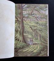 1880 A Week's Holiday in The Forest of Dean. Rare 1st Edition, Coloured Plates & Map (4 of 5) 1880 A Week's Holiday in The Forest of Dean. Rare 1st Edition, Coloured Plates & Map (4 of 5)