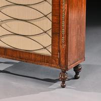 Fine Regency Brass Inlaid Rosewood Chiffonier Of Narrow Proportions (5 of 7) Fine Regency Brass Inlaid Rosewood Chiffonier Of Narrow Proportions (5 of 7)