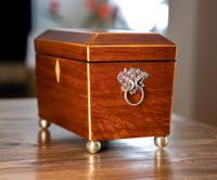 Stunning Partridge Wood Caddy 1820 (5 of 8) Stunning Partridge Wood Caddy 1820 (5 of 8)