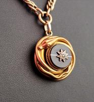 Victorian Agate Snake Pendant, Pinchbeck Albert Chain (7 of 12) Victorian Agate Snake Pendant, Pinchbeck Albert Chain (7 of 12)