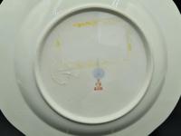Very Important Russian Plate from Wolkonsky Dinner Service Made by KPM Factory (11 of 12) Very Important Russian Plate from Wolkonsky Dinner Service Made by KPM Factory (11 of 12)