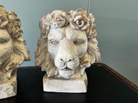 Item Additional Image