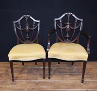 Set 10 Adams Shield Back Dining Chairs Mahogany (6 of 9) Set 10 Adams Shield Back Dining Chairs Mahogany (6 of 9)
