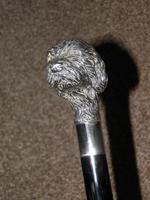 Vintage 925 Silver Detailed Deer Hound Dog's Head Walking Stick / Cane (3 of 20) Vintage 925 Silver Detailed Deer Hound Dog's Head Walking Stick / Cane (3 of 20)