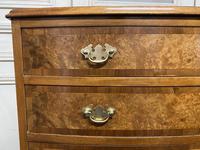 Burr Walnut Bow Front Chest (4 of 12) Burr Walnut Bow Front Chest (4 of 12)