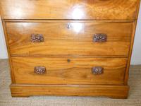 Large 19th Century Camphor Wood Colonial Chest of Drawers (7 of 11) Large 19th Century Camphor Wood Colonial Chest of Drawers (7 of 11)