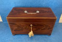 George III Mahogany Twin Canister Tea Caddy (2 of 17) George III Mahogany Twin Canister Tea Caddy (2 of 17)
