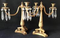 Pair of Good Quality Antique Gilt Brass & Crystal Drop Neo Classical Two Branch Candelabra (3 of 8) Pair of Good Quality Antique Gilt Brass & Crystal Drop Neo Classical Two Branch Candelabra (3 of 8)