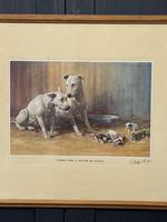 Item Additional Image