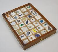 Antique Natural History Collectors Cabinet (5 of 8) Antique Natural History Collectors Cabinet (5 of 8)