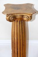 Italian Florentine Giltwood Pedestal Stand (6 of 8) Italian Florentine Giltwood Pedestal Stand (6 of 8)