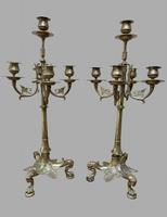 Pair of Attractive Brass French Candelabra (1 of 8)
