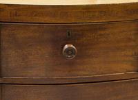 19th Century Bow-fronted Mahogany Chest of Drawers (4 of 6) 19th Century Bow-fronted Mahogany Chest of Drawers (4 of 6)