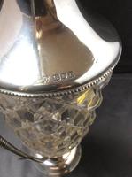 Solid Silver Topped Wine Ewer (3 of 6) Solid Silver Topped Wine Ewer (3 of 6)