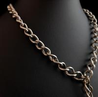Antique Silver Double Albert Chain, Victorian (8 of 14) Antique Silver Double Albert Chain, Victorian (8 of 14)