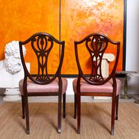 6 Dining Chairs Hepplewhite Mahogany Leather 19th Century (5 of 15) 6 Dining Chairs Hepplewhite Mahogany Leather 19th Century (5 of 15)