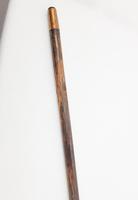 Edwardian Tortoise Shell Walking Stick (2 of 5) Edwardian Tortoise Shell Walking Stick (2 of 5)