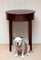 Early 19th Century Mahogany Side Table c.1820 (4 of 10) Early 19th Century Mahogany Side Table c.1820 (4 of 10)