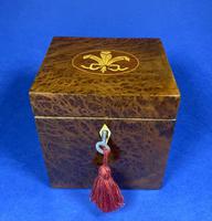 Late Victorian Burr Yew Single Tea Caddy (13 of 32) Late Victorian Burr Yew Single Tea Caddy (13 of 32)
