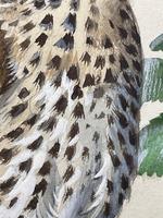 Watercolour "Chirping Song Thrush Bird" Signed Charles Frederick Tunnicliffe OBE RA 1901-1979 (14 of 35) Watercolour "Chirping Song Thrush Bird" Signed Charles Frederick Tunnicliffe OBE RA 1901-1979 (14 of 35)