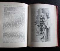 1880 1st Edition The Stirring Times of TE Rauparaha by W T L Travers Rare Maori Book (3 of 4) 1880 1st Edition The Stirring Times of TE Rauparaha by W T L Travers Rare Maori Book (3 of 4)