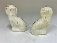Antique Pair of Miniature Staffordshire Pottery Dogs c.1830 (3 of 5) Antique Pair of Miniature Staffordshire Pottery Dogs c.1830 (3 of 5)