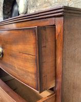 Large Regency Mahogany Bow Front Chest of Drawers (12 of 19) Large Regency Mahogany Bow Front Chest of Drawers (12 of 19)